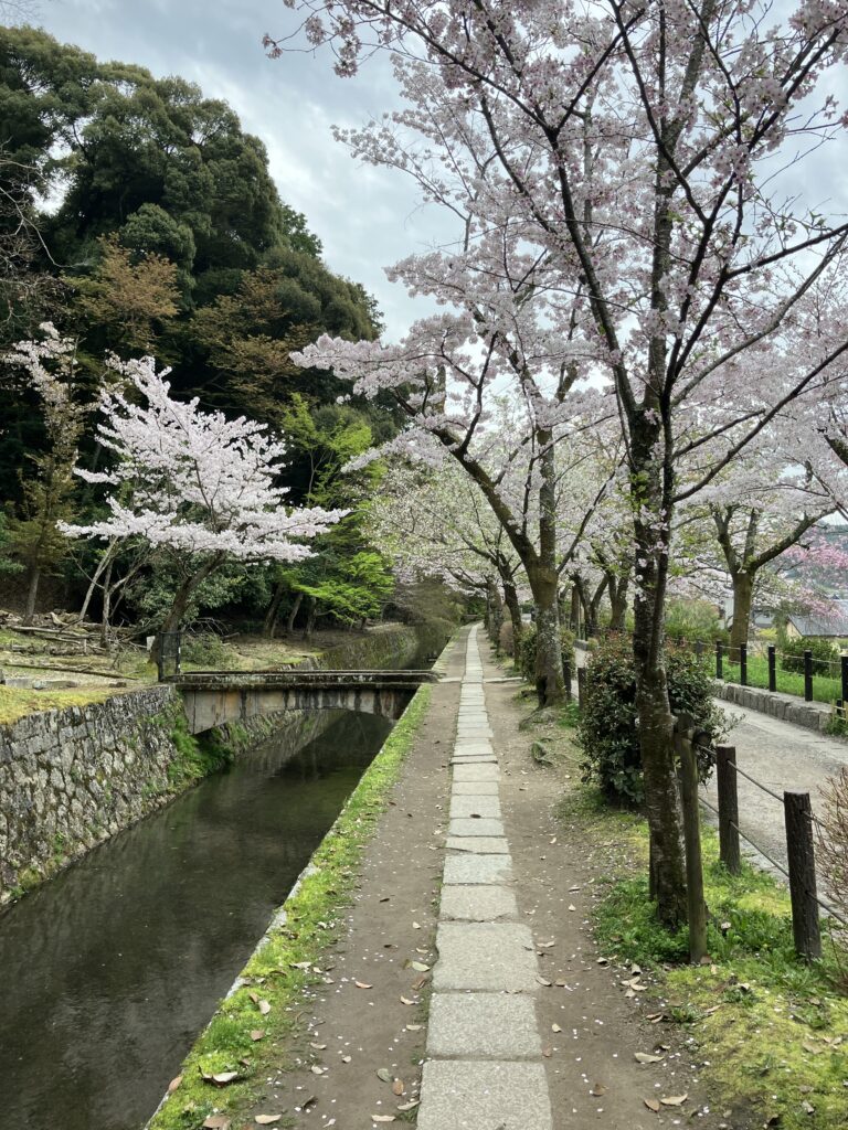 哲学の道