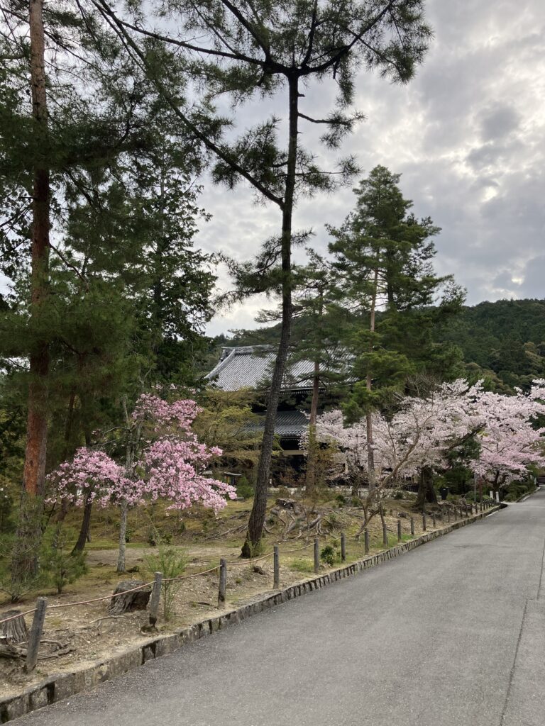 境内風景