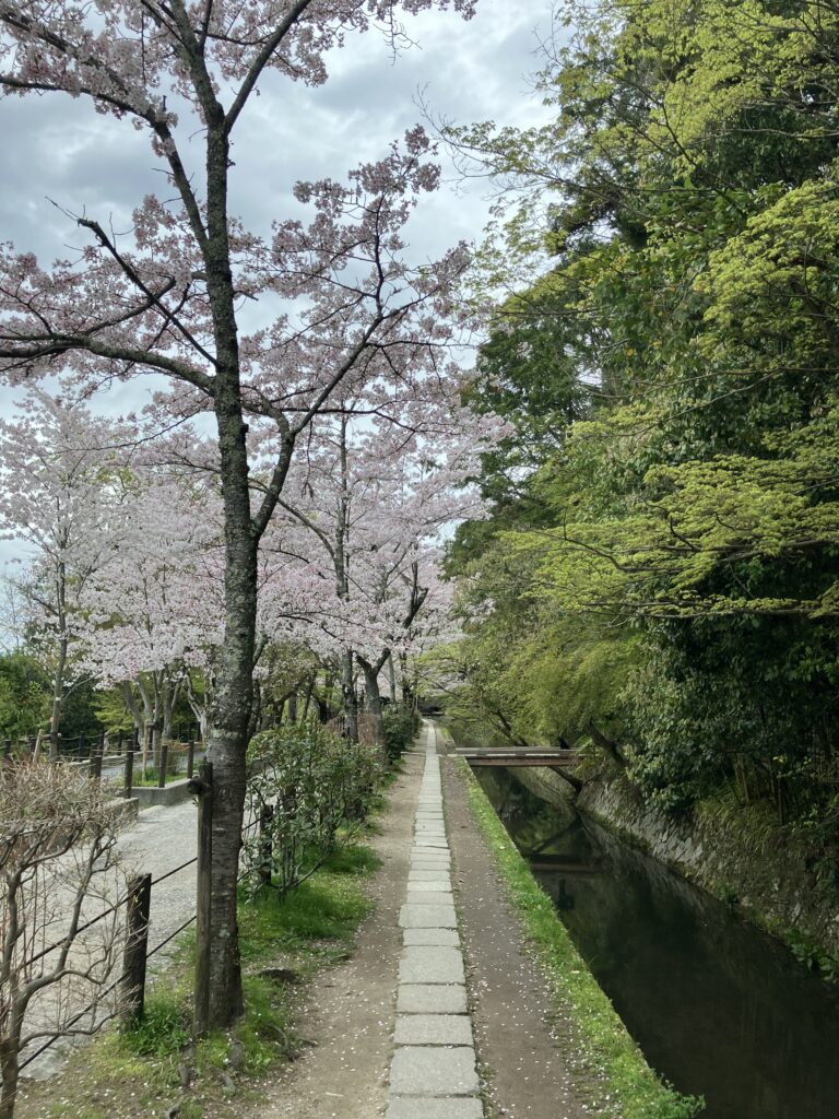 哲学の道