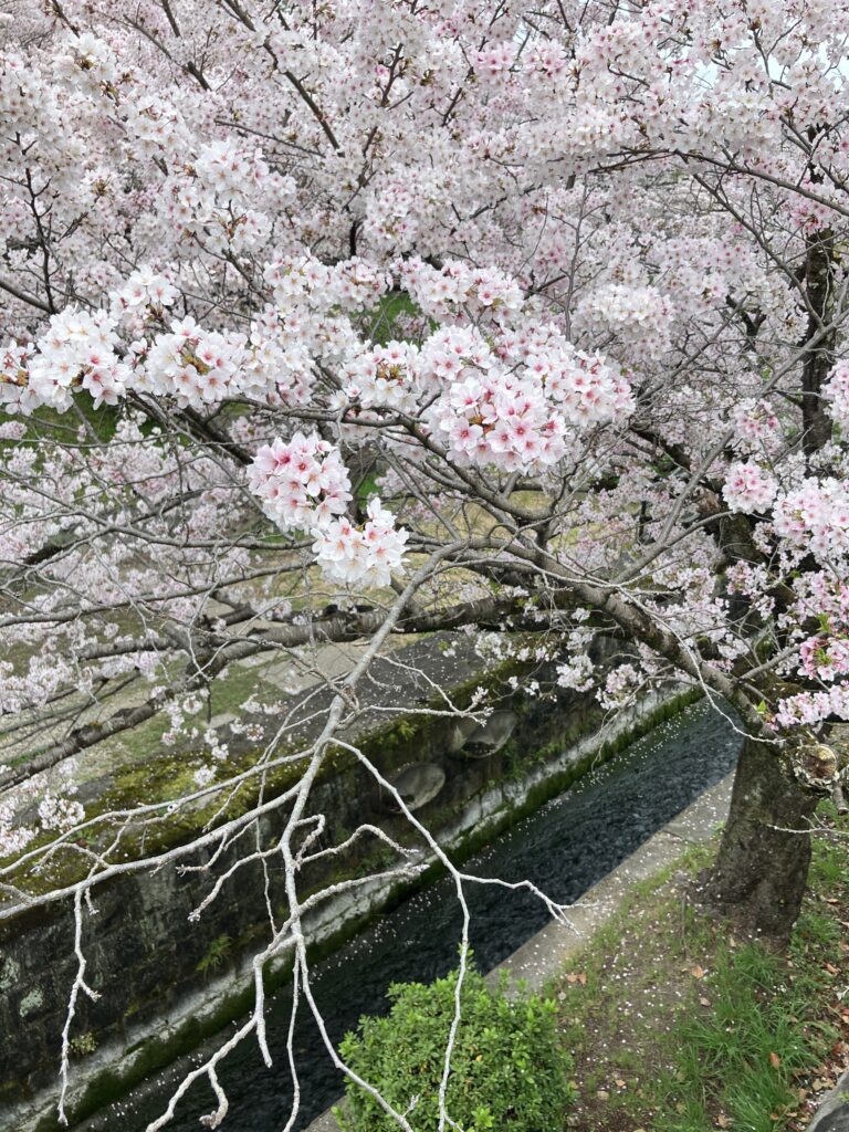 蹴上インクライン